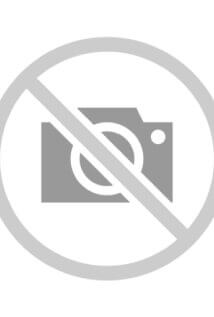 Mortal Kombat Legends: Snow Blind (2022) online sa prevodom